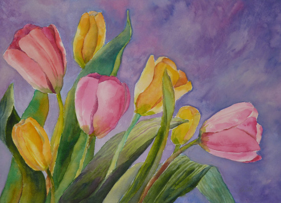 Pink and Yellow Tulips « Westworks Studio Portfolio